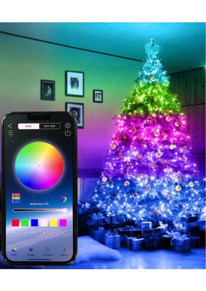 LED Rgb Yılbaşı Işığı Kumandalı App Destekli