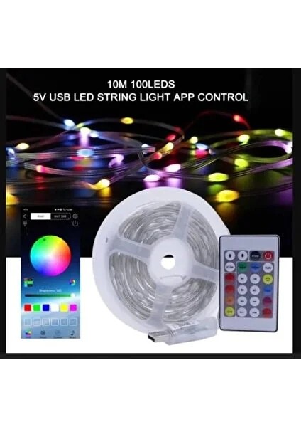 LED Rgb Yılbaşı Işığı Kumandalı App Destekli