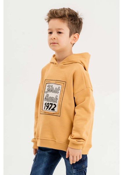 Kapüşonlu Pamuk Erkek Çocuk Sweatshirt fiyatları