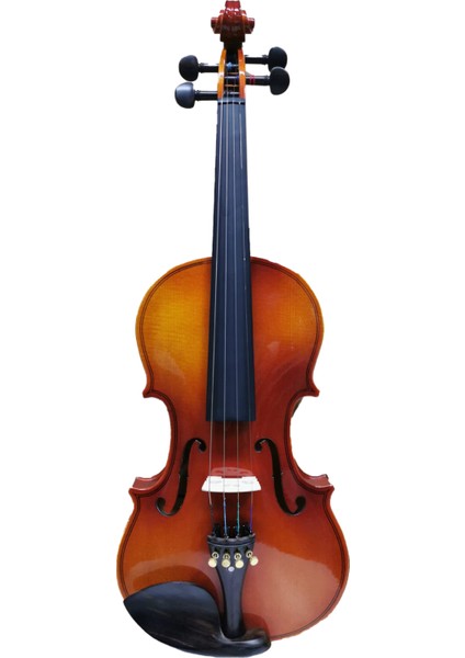 BEV-100-44 4/4 Keman fiyatları