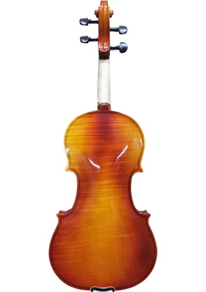 BEV-100-44 4/4 Keman