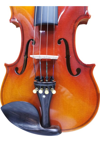 BEV-100-44 4/4 Keman