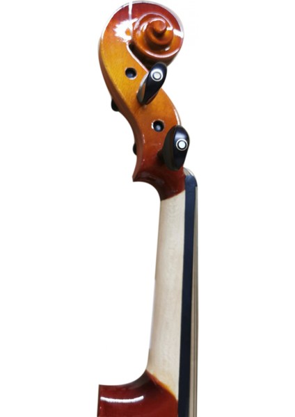 BEV-100-44 4/4 Keman