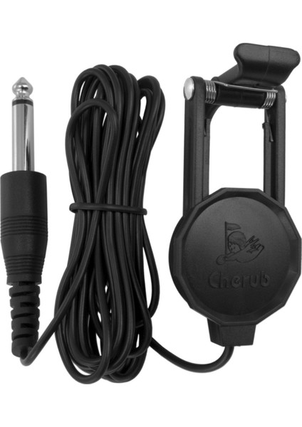 WCP-60V Keman Manyetiği