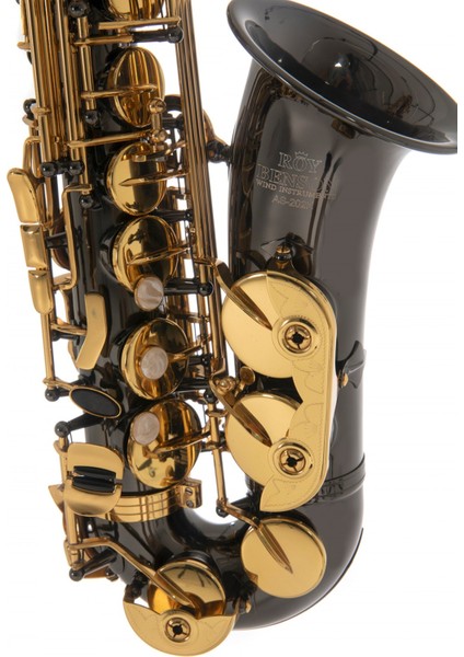 As-202K Alto Saksafon fiyatları