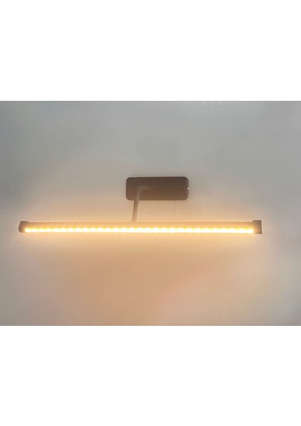 50 cm Günışığı LED'li Kuğu Tablo ve Pilli Aplik, Siyah Metal Kasa, E14 Duy