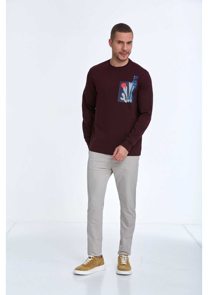 Pattern Bisiklet Yaka Erkek Sweatshirt Bordo fiyatları