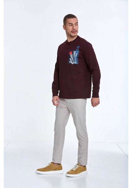 Pattern Bisiklet Yaka Erkek Sweatshirt Bordo fırsatları