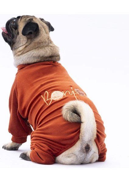 Kiremit Bonjour Kadife Küçük Irk Köpek Tulumu