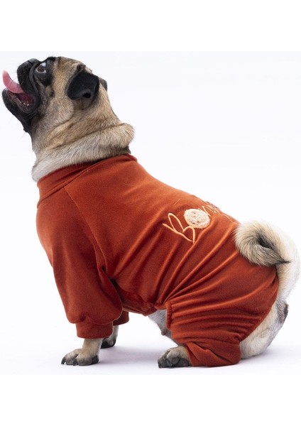 Kiremit Bonjour Kadife Küçük Irk Köpek Tulumu fiyatları