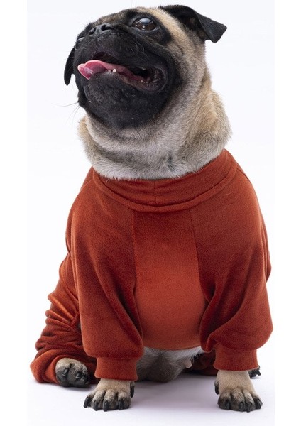 Kiremit Bonjour Kadife Küçük Irk Köpek Tulumu modelleri