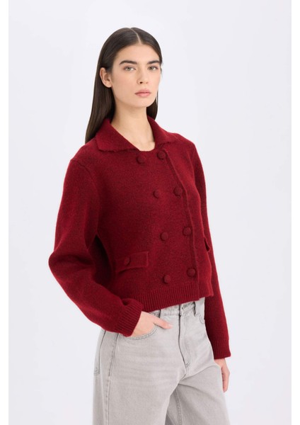 Regular Fit Polo Yaka Basic Düz Düğmeli Triko Hırka E2289AX24WN
