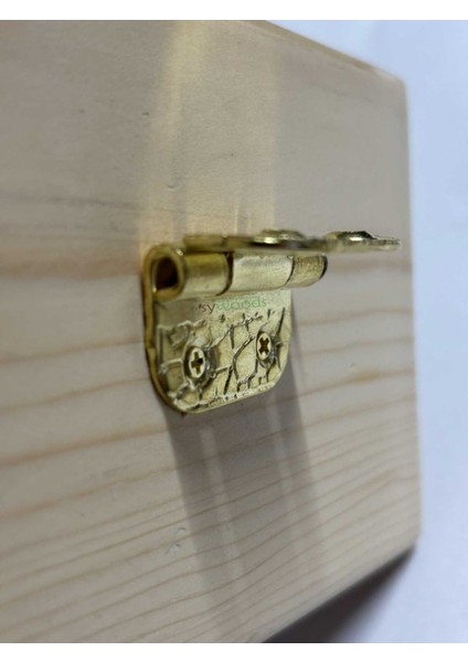 Stoplu Menteşe 10 Adet Sarı 30x33 mm Kutu ve Sandık Menteşesi Hobi Maket