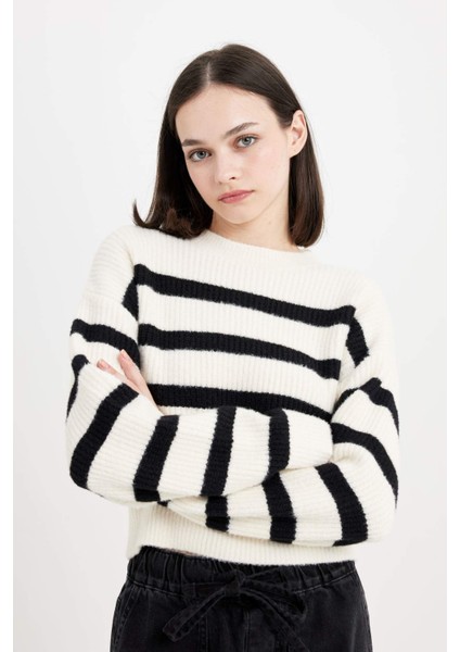 Regular Fit Çizgili Bisiklet Yaka Triko Kazak R1285AZ24CW fırsatları