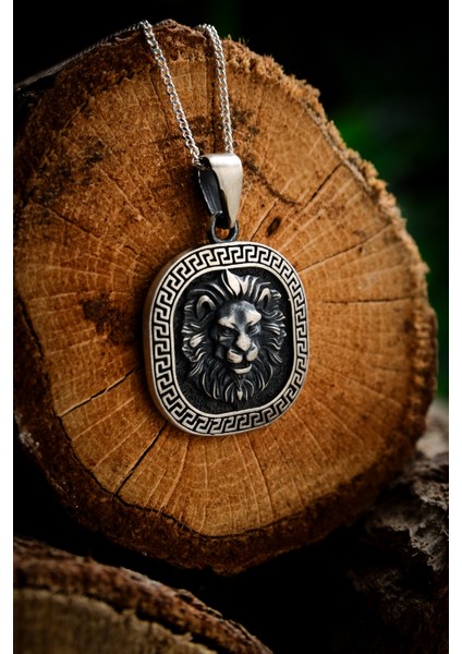 Gümüş Aslan Baş Kolye 925 Ayar Gümüş Mat Model Aslan Kafası Figürlü Erkek Kolye