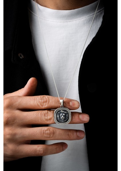 Gümüş Aslan Baş Kolye 925 Ayar Gümüş Mat Model Aslan Kafası Figürlü Erkek Kolye fiyatları