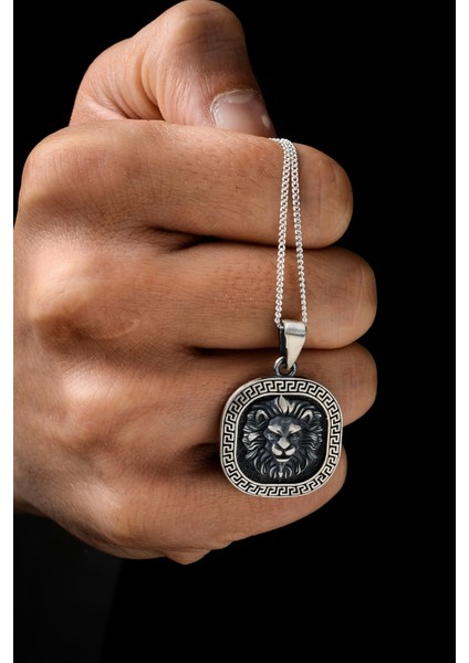 Gümüş Aslan Baş Kolye 925 Ayar Gümüş Mat Model Aslan Kafası Figürlü Erkek Kolye modelleri
