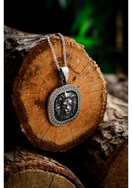 Gümüş Aslan Baş Kolye 925 Ayar Gümüş Mat Model Aslan Kafası Figürlü Erkek Kolye fırsatları