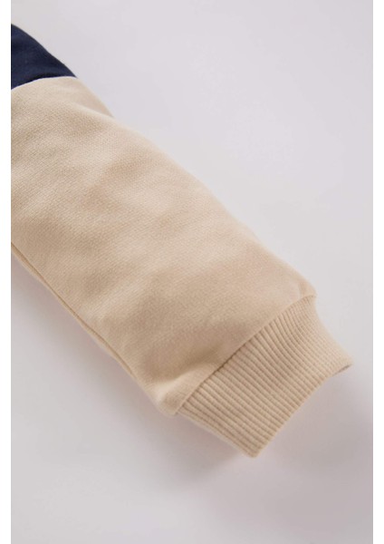 Erkek Bebek Bisiklet Yaka Renk Bloklu İçi Yumuşak Tüylü Sweatshirt A9753A524WN