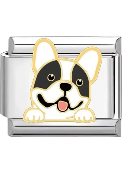 French Bulldog Charm