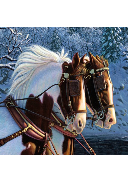 Treadured Memories 1000 Parça Puzzle