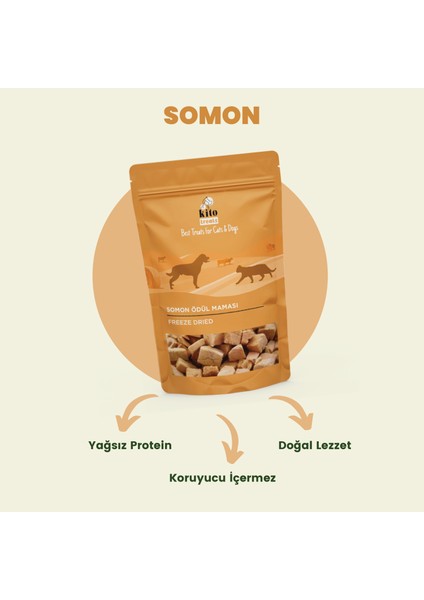 Freeze Dried Somon Ödül Maması Köpekler Için (30 gr)