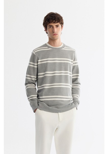 Erkek Gri Bisiklet Yaka Çizgili Elastan Sweatshirt A42y1292