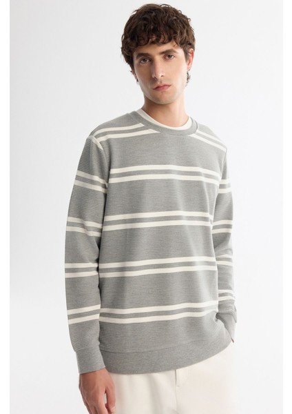 Erkek Gri Bisiklet Yaka Çizgili Elastan Sweatshirt A42y1292 fiyatları