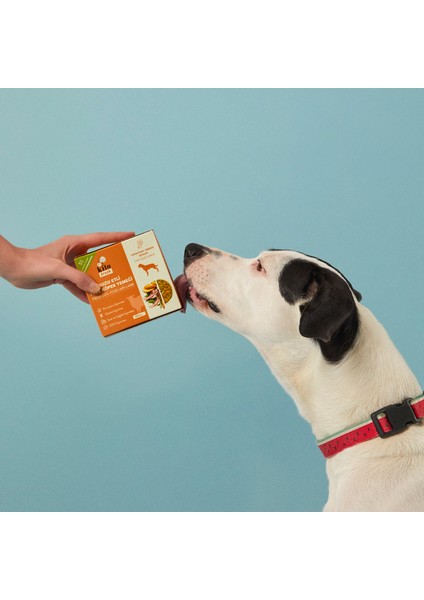 Fresh Kuzu Etli Taze Köpek Yemeği fırsatları