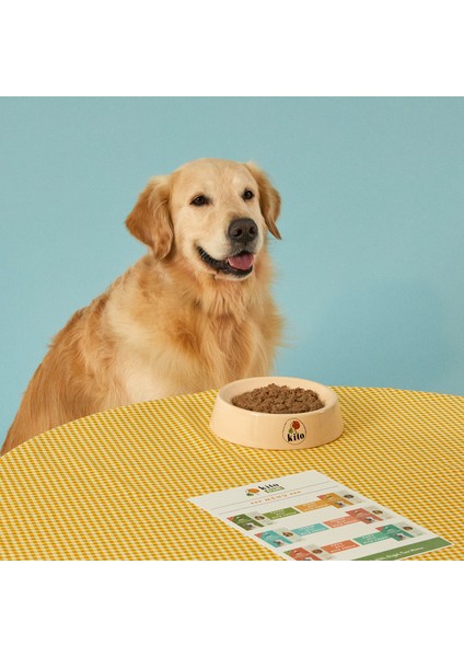 Fresh Kuzu Etli Taze Köpek Yemeği