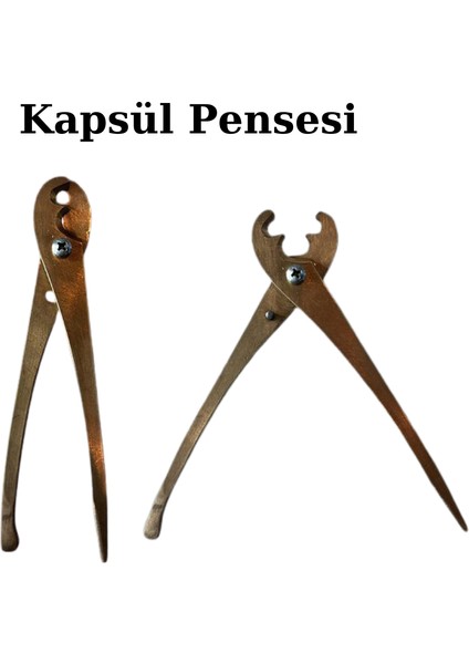 Kapsül Pense modelleri