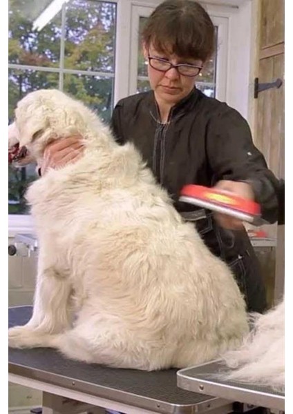23 kg Üzeri Uzun Tüylü Köpekler İçin Tüy Toplayıcı Ergonomik Tarak (4778)