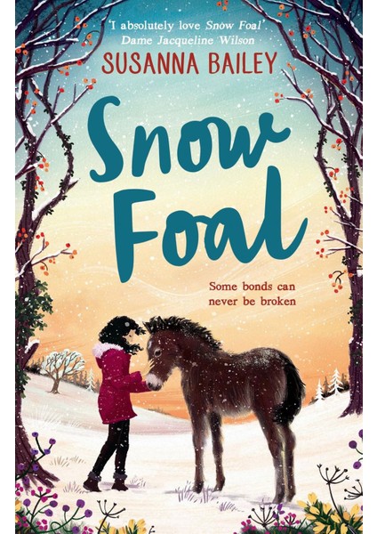 Snow Foal - Susanna Bailey