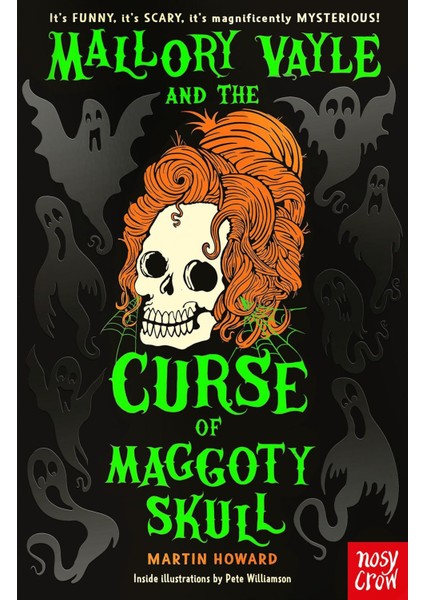 Mallory Vayle And The Curse Of Maggoty Skull - Martin Howard
