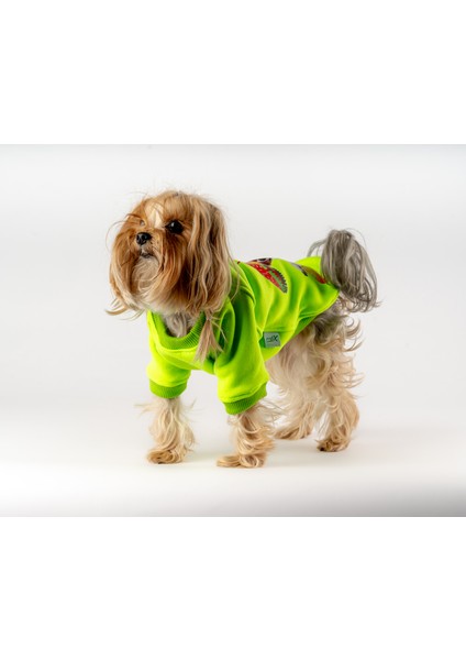 Motorcu Köpek Sweatshirt
