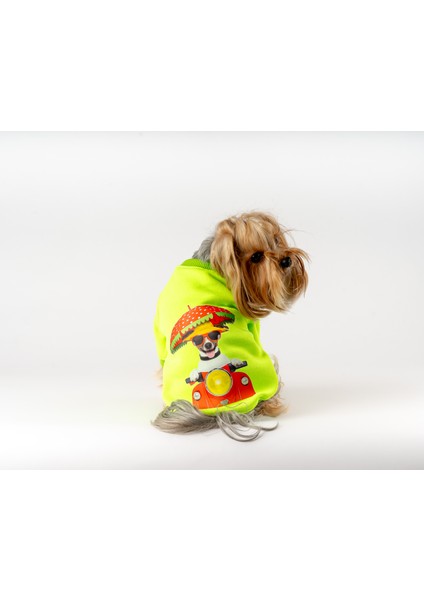 Motorcu Köpek Sweatshirt