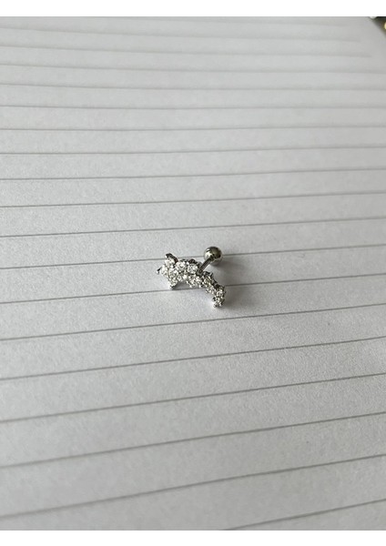 Kuyruklu Çiçek Piercing (Arkası Toplu)