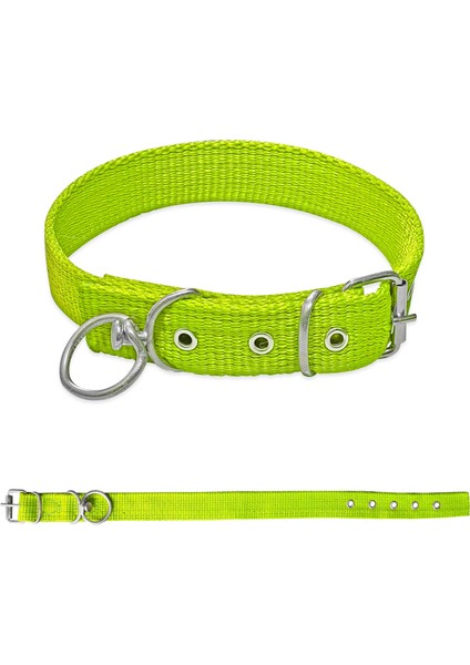 Savex Dokuma Köpek Boyun Tasması Yeşil 3*60 cm