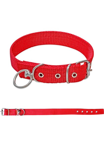 Savex Dokuma Köpek Boyun Tasması Kırmızı 3*60 cm