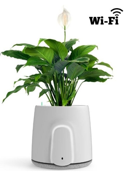 Vitesy Natede Saksı Tipi Hava Temizleyici Wifi Bağlantılı