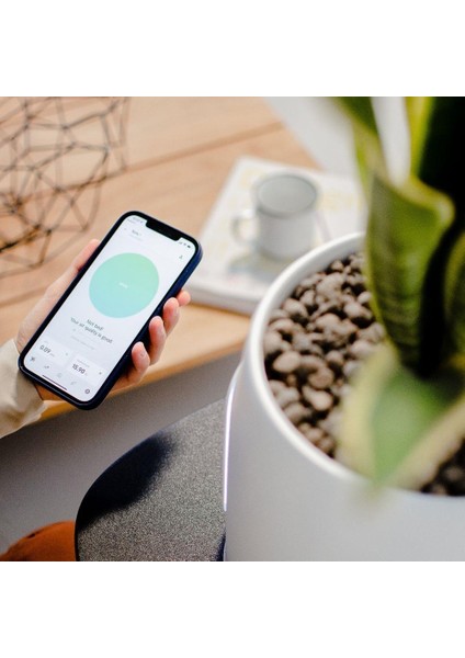 Vitesy Natede Saksı Tipi Hava Temizleyici Wifi Bağlantılı fiyatları
