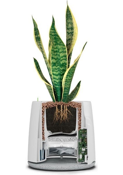 Vitesy Natede Saksı Tipi Hava Temizleyici Wifi Bağlantılı fırsatları