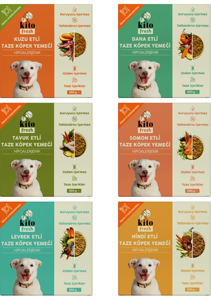 Fresh Köpekler için Tanışma Paketi