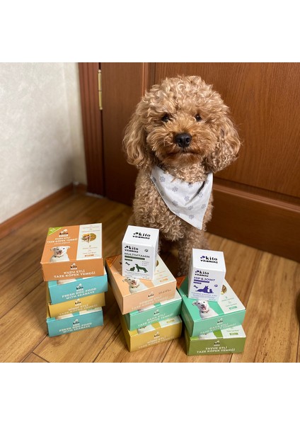 Fresh Köpekler için Tanışma Paketi modelleri
