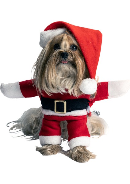 Noel Baba Kedi Köpek Kostümü