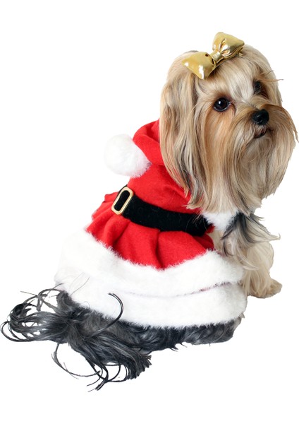 Noel Elbisesi Kedi Köpek