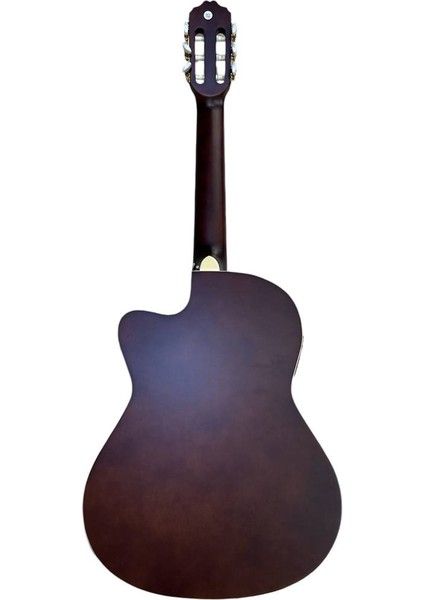 Elektro Klasik Gitar