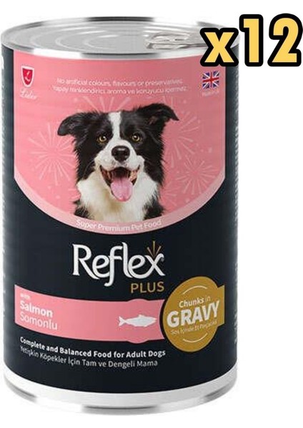 Gravy Somonlu Et Parçacıklı Köpek Konservesi 400 gr x 12 Adet