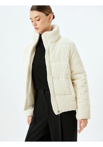 Cepli Fermuar Kapamalı Dik Yaka Kalın Fitilli Bomber Kadife Ceket