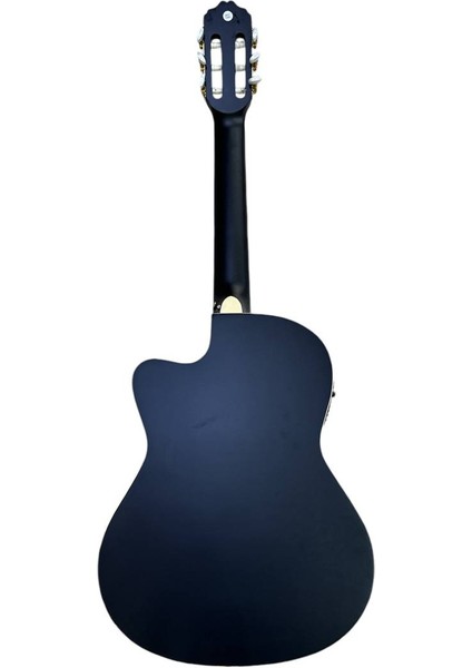 Elektro Klasik Gitar